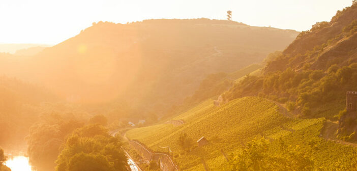 Entdecken Sie die Weine der Umgebung bei einer Weinreise an der Nahe.