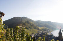 An der Mosel wird hauptsächlich Weißwein angebaut, bei Ihrer Weinreise werden Sie jedoch auch rote Rebstöcke finden.