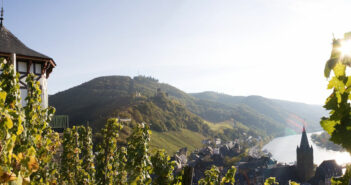 An der Mosel wird hauptsächlich Weißwein angebaut, bei Ihrer Weinreise werden Sie jedoch auch rote Rebstöcke finden.