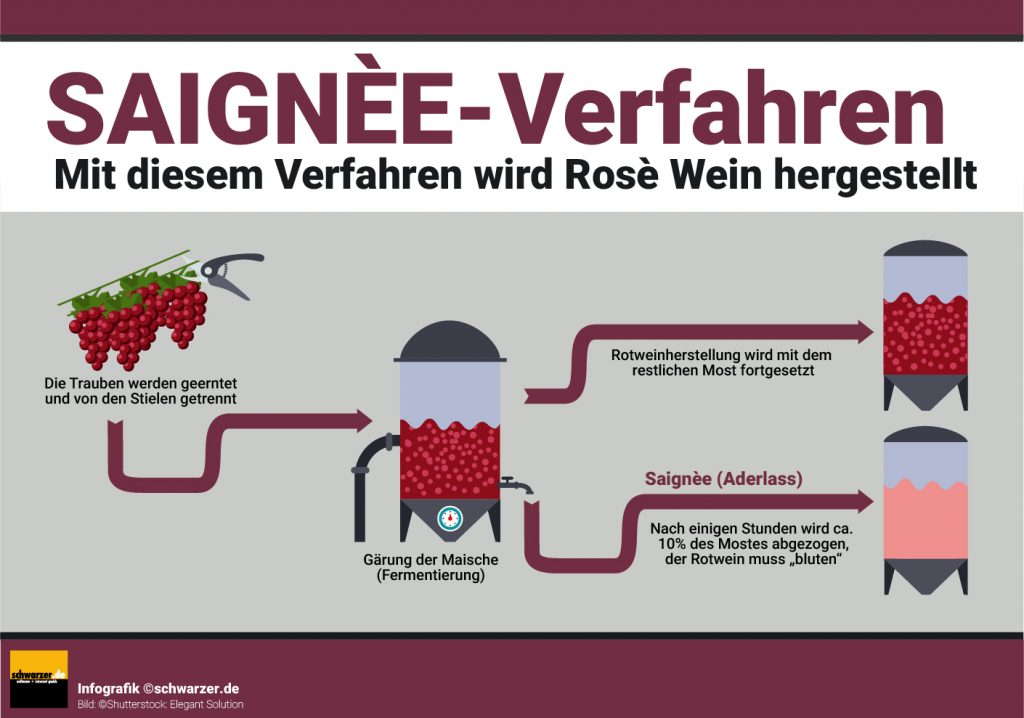 Infografik: Mit diesem Verfahren wird Rosé Wein hersgestellt: Das Saigneé Verfahren.