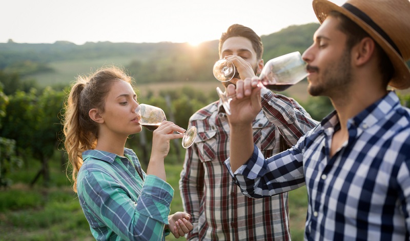 Die Weinverkostung auf dem Weingut ist immer ein ganz besonderes Highlight. (#1)