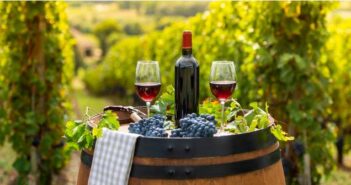 Interessantes und kuriose rund um den Rotwein ( Foto: Shutterstock- _ FreeProd33 )