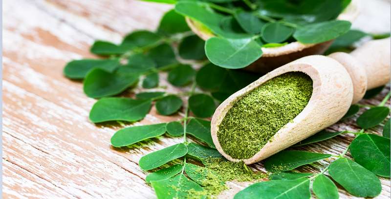 Moringa Oleifera ist als Meerrettichbaum bekannt und wird als Pulver, in Kapselform oder auch als Tee und Öl angeboten. ( Lizenzdoku: Shutterstock- Rostovtsevayu )