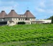 Weinanbau in den USA: Die wichtigsten Rebsorten des viergrößten Weinproduzenten der Welt (Foto: Adobe Stock-itsallgood)
