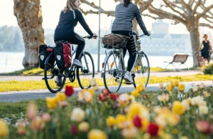Blütenpracht am Bodensee: Dem Wein entlang (Foto: Leo Leister)