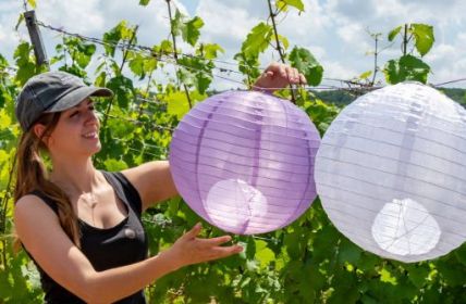 Weinliebhaber aufgepasst: Die Weinsüden Pop-ups bieten Genuss (Foto: TMBW. Udo Bernhart)