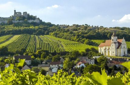 Entdecken Sie die einzigartigen Weine des Burgenlandes (Foto: AdobeStock - visualpower 140699367)