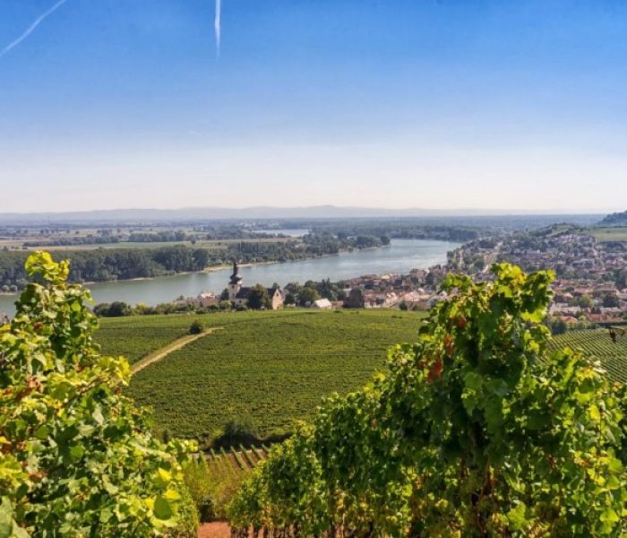 Blick auf Nierstein (Foto: Rheinhessen-Touristik GmbH. Georg Müller)